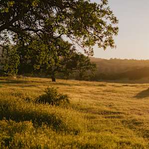 The golden hour is phenomenal here.