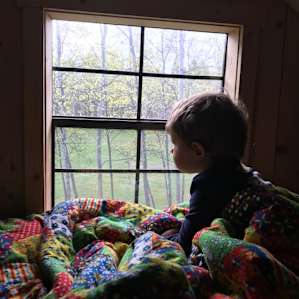 The Cabin in the Meadow