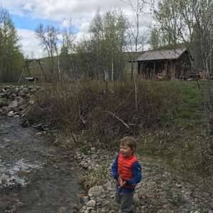 The Cabin in the Meadow