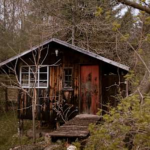Hidden Cabin with Farm View