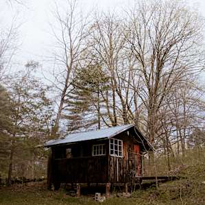 Farm View Hidden Cabin Near Taconic State Park Hipcamp 17 Hipcamper Reviews And 25 Photos