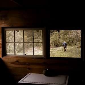 Lots of open space all around the cabin. You can see lots of the farm right from bed but still feel very secluded and private.