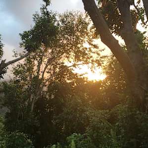 Backpackers Paradise El Yunque