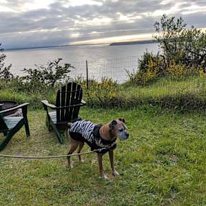 Historic Bluff Sunset Retreat