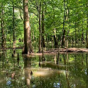 The park gets flooded after rains