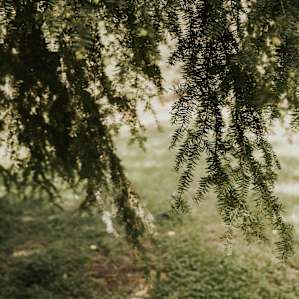 Herb and Flower Farm Retreat
