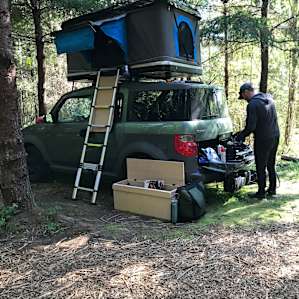 Grey Owl Hollow