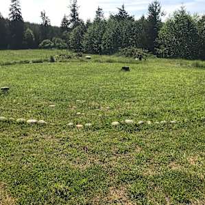 Grey Owl Hollow