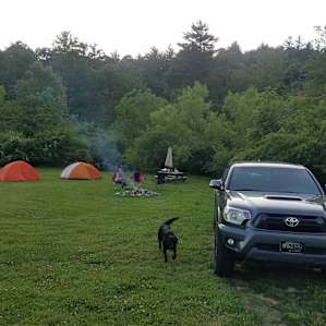 Pisgah Forest Mountain Meadows