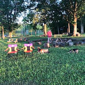 Camp at a Working Organic Farm