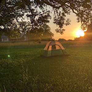 Camp at a Working Organic Farm