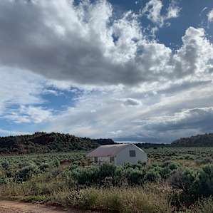 BaseCamp 37° - Katie Lee tent