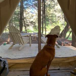 First morning at camp