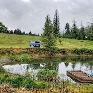 Rainier Getaway