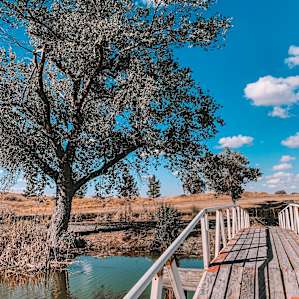 Twisselman’s Glamping by the Pond
