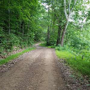 Hiking the road in