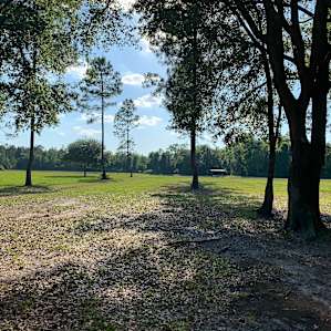 View from our site