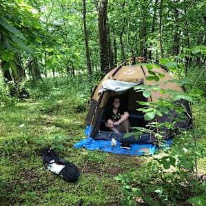 Off Grid Medicinal Herb Farm