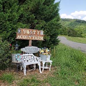 Rusty Acorn Farm