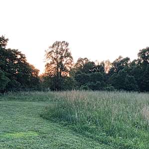 Wine Trail Wilderness