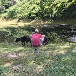 Feeding fish in the pond.