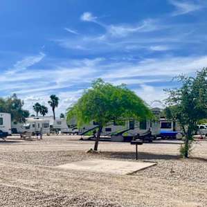 Availability At Arizona Oasis Rv Resort Arizona Oasis Rv Resort Az