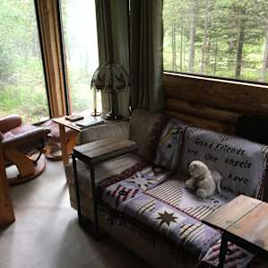 Iron Horse Forest River Cabin