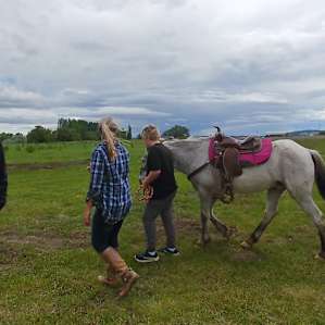 Horse lessons