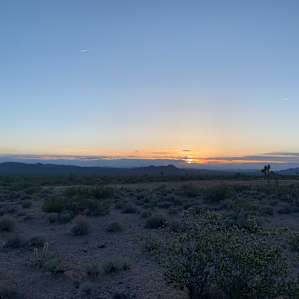 Silver Sunsets!