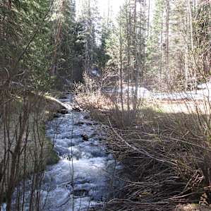 Papoose Creek