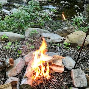 Glamping at the base of Mt Mitchell