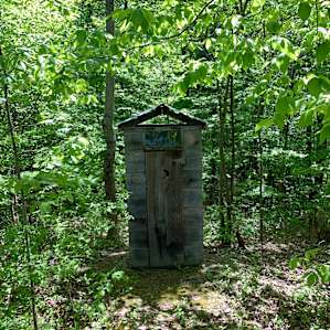 Birch camp