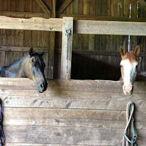 Barakah Heritage Farm Deer Meadow