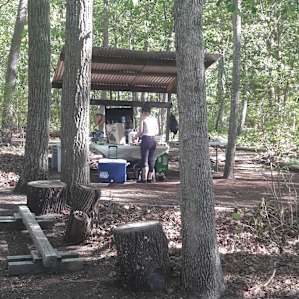 The Woods @ Murray Grove