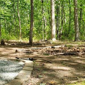The Woods @ Murray Grove