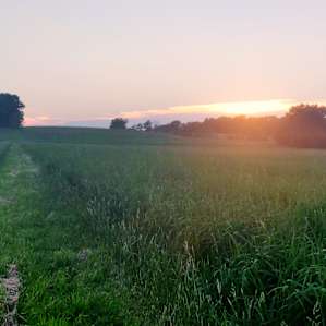 There are some nice hike trails around the campsite with beautiful sunset views.