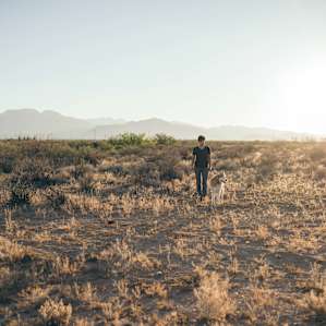 Our dog loved all the open space