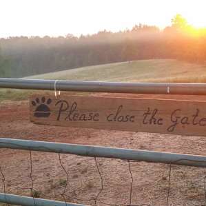 Sunrise over the fields