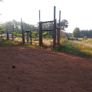 Front corner of the garden