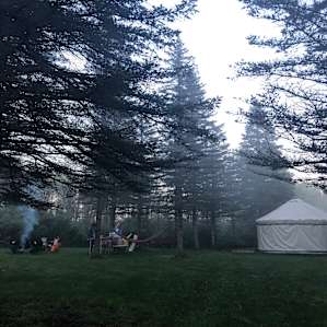 Yurt in the Pines