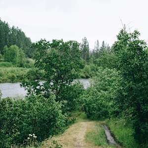 Way down to the river