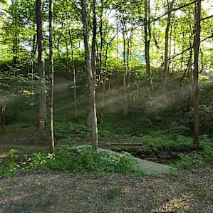 View over the stream from site #2
