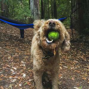 hanging at the campsite
