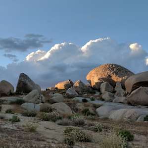 Open Land Sites