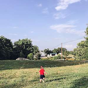Nice big green flat areas for running around or playing fetch.