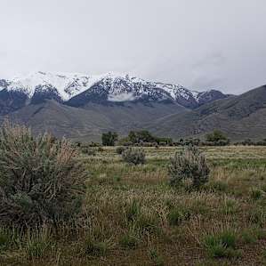 The Moonshadow Ranch (MSR) 2019