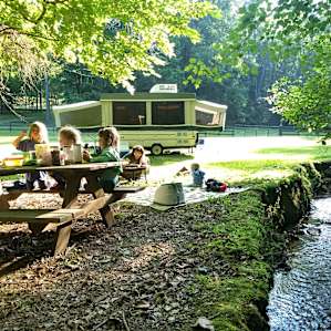 The creekside campsite in the morning.