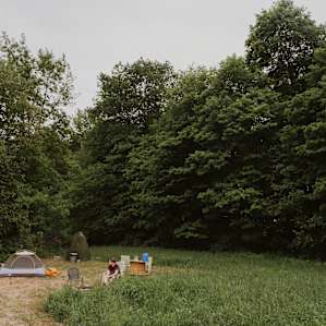 Big trees for privacy and coziness.