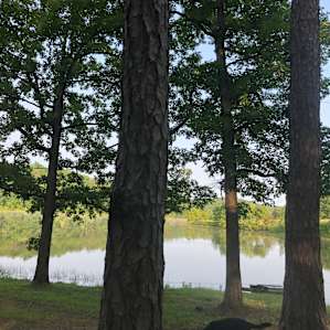 Tent-sites A @ Spring Lake