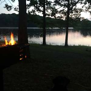 Tent-sites A @ Spring Lake